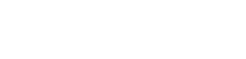 reipas logo